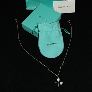 Tiffany silver tennis necklace